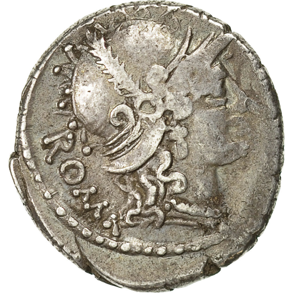 minca,
Carissa,
dinár