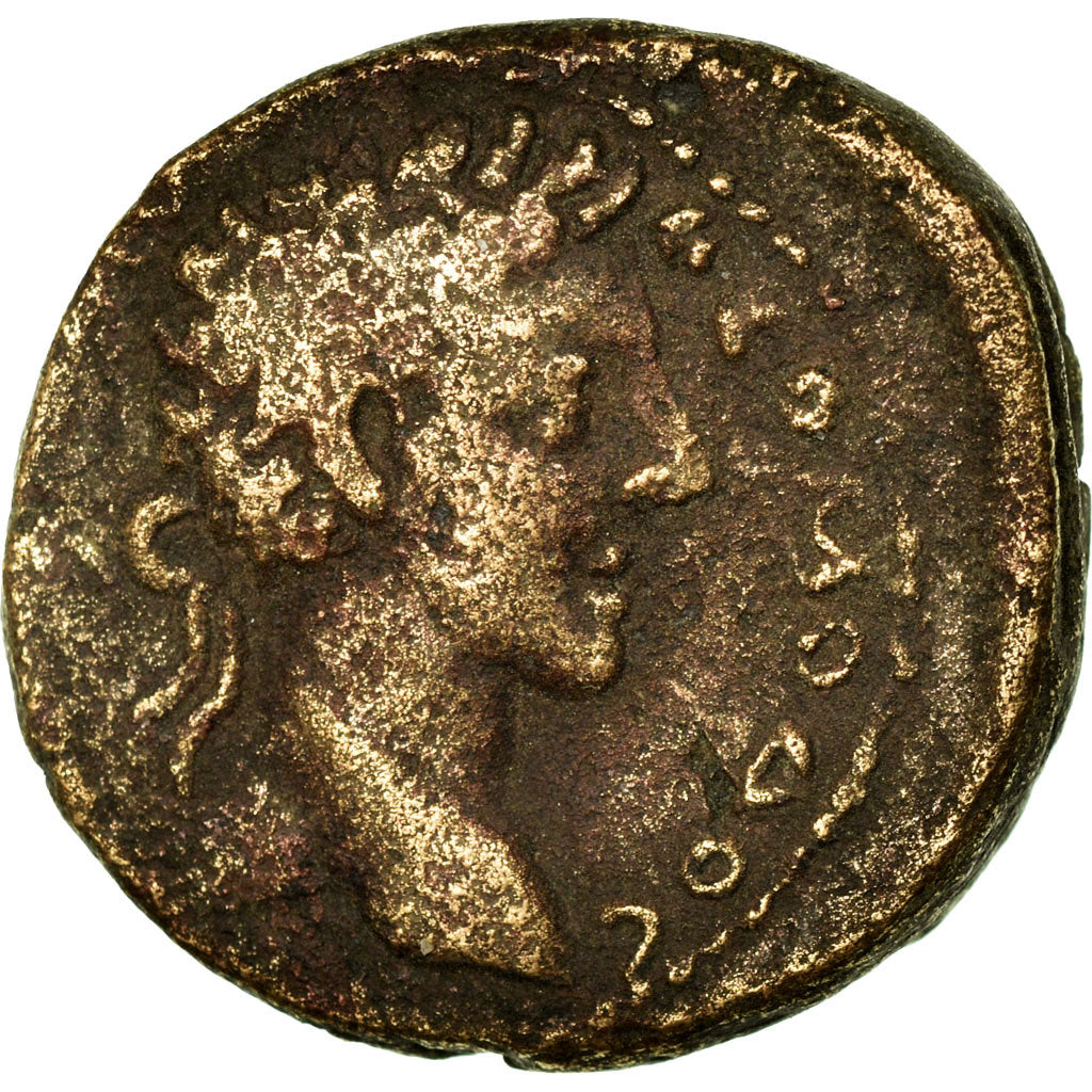 minca,
liečivý,
Commodus