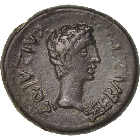minca,
 
 august,
 
 Polojednotka
