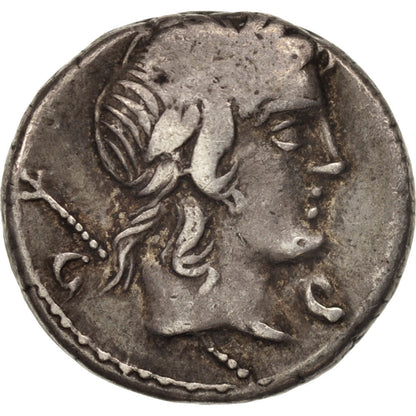 minca, 
  
  Cropusius, 
  
  dinár