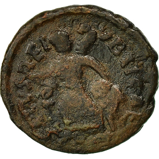 minca,
 
 Arkadiusz,
 
 Polovičný blázon