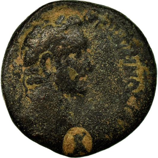 minca, 
  
  Seleucus a Pieria, 
  
  Antoninus Pius